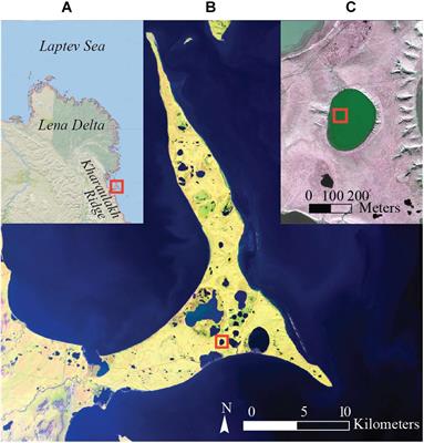 n-Alkane Characteristics of Thawed Permafrost Deposits Below a Thermokarst Lake on Bykovsky Peninsula, Northeastern Siberia